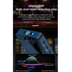 Dual Channel Wireless Microphone