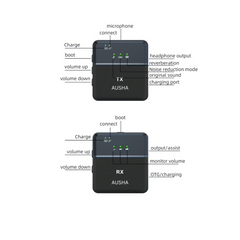 Dual Channel Wireless Microphone