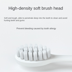 Electric Toothbrush for Adults -5 Modes & 3 Brush Heads