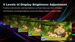 4K Night Vision Binoculars (BINO097)