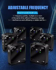 Dual Channel Wireless Microphone System