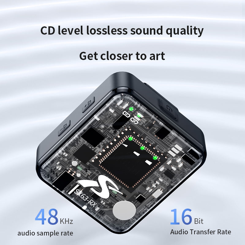 Dual Channel Wireless Lavalier Microphone with Charging Case