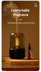 Humidifier & Essential Oil Diffuser