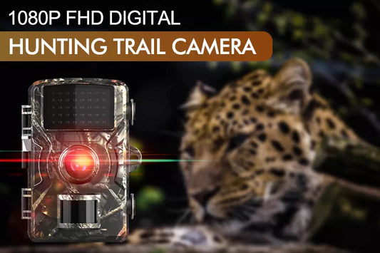 "Eyes in the Wild: How Trail Cameras are Transforming Forest Conservation"