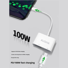USB Type C to HDMI 4K with 100W PD Charging