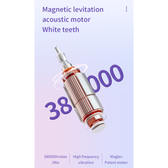 Sonic Electric Toothbrush (3 Brush Heads, 5 Modes, Wireless Charging)