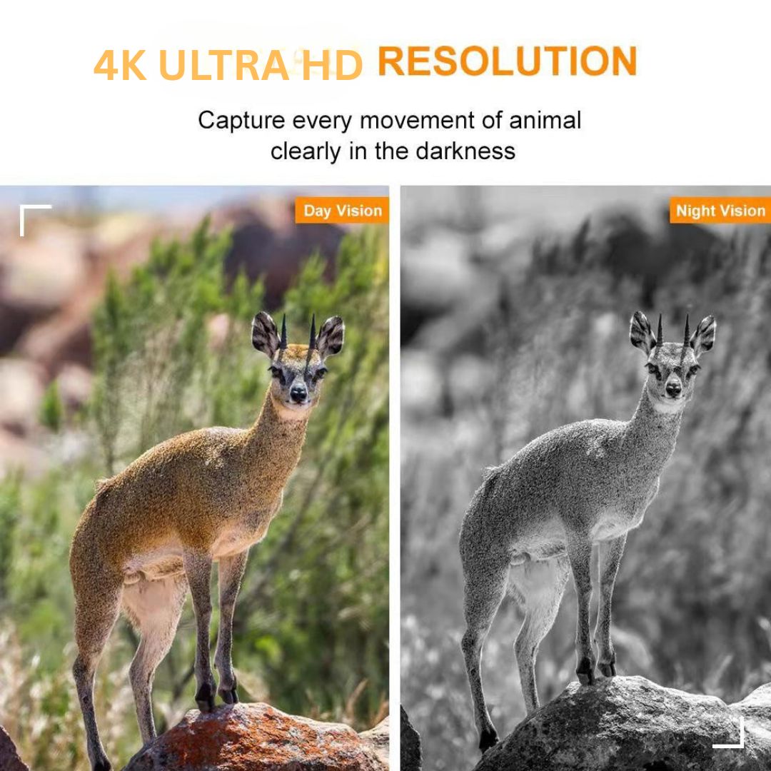 4G LTE Trail Camera with GPS Coordinates and White Flash