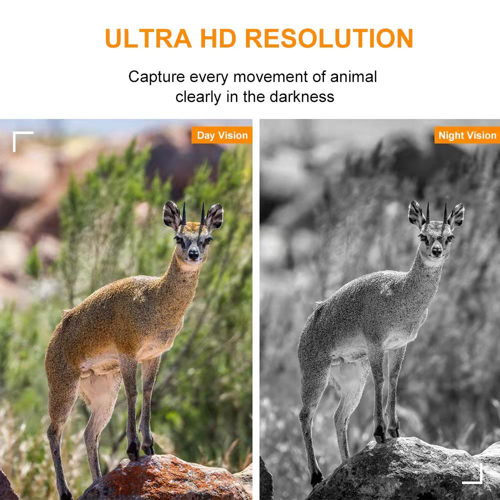 Trail Camera 4G (2K & 14 MP )