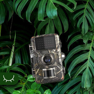 Full HD Trail Camera- IP66 Waterproof for Wildlife Monitoring